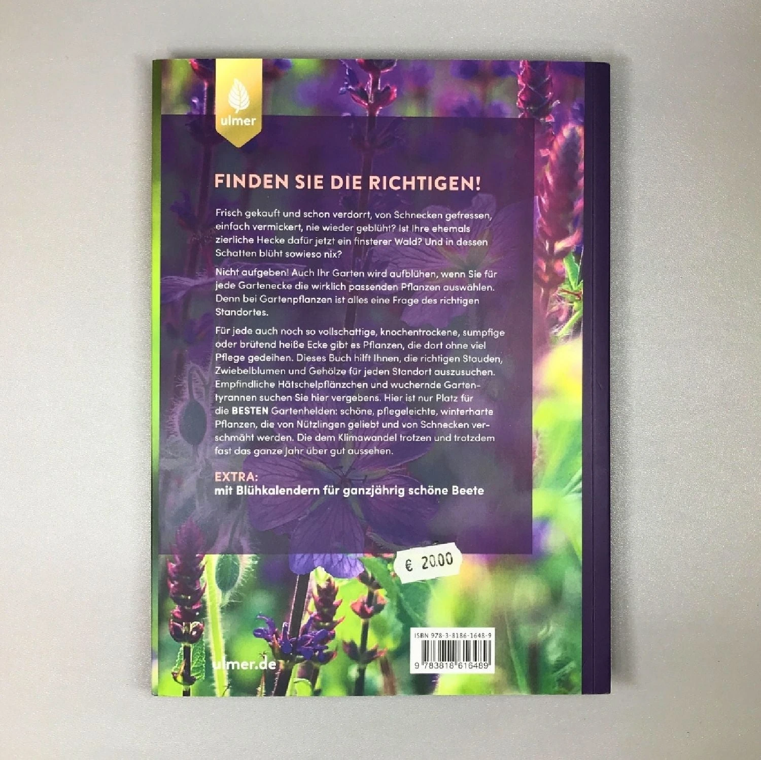 Die 150 Besten Pflanzen (für Jede Gartenecken) 14 Die 150 Besten Pflanzen (für Jede Gartenecken) – Bild 12