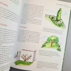 Kleine Gärten Gekonnt Gestalten (Katja Richter) 9 Kleine Gärten Gekonnt Gestalten (Katja Richter) -Angebote Pflanzen Store 36118 Kleine 20Gaerten 20gekonnt 20gestalten Katja 20Richter 4 73f7d5f4 bd01 4ccb a095 888014535d35