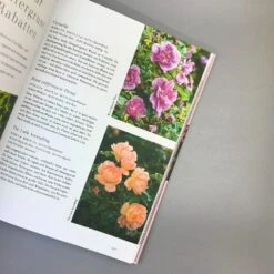 Rosen | Die Schönsten Sorten Auswählen (Michael Marriot) -Angebote Pflanzen Store 36806 Rosen 20 20Die 20schoensten 20Sorten 20auswaehlen Michael 20Marriot 4 9a2d44e7 145e 42dc b710 411f5a3c70ff