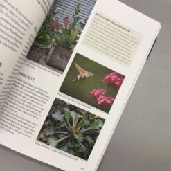 Wildkräuter In Töpfen Und Kübeln (Ortrud Grieb) -Angebote Pflanzen Store 37112 Wildkraeuter 20in 20Toepfen 20und 20Kuebeln Ortrud 20Grieb 5