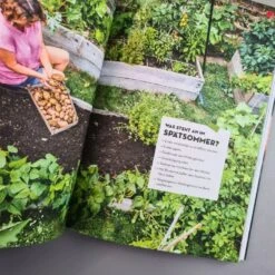 Hochbeet - Was Mache Ich Wann? (Anja Klein) 11 Hochbeet - Was Mache Ich Wann? (Anja Klein) -Angebote Pflanzen Store 37113 Hochbeet 20 20Was 20mache 20ich 20wann Anja 20Klein 4 0f636701 b1a0 4c8b 9d70 34831f0d4a48