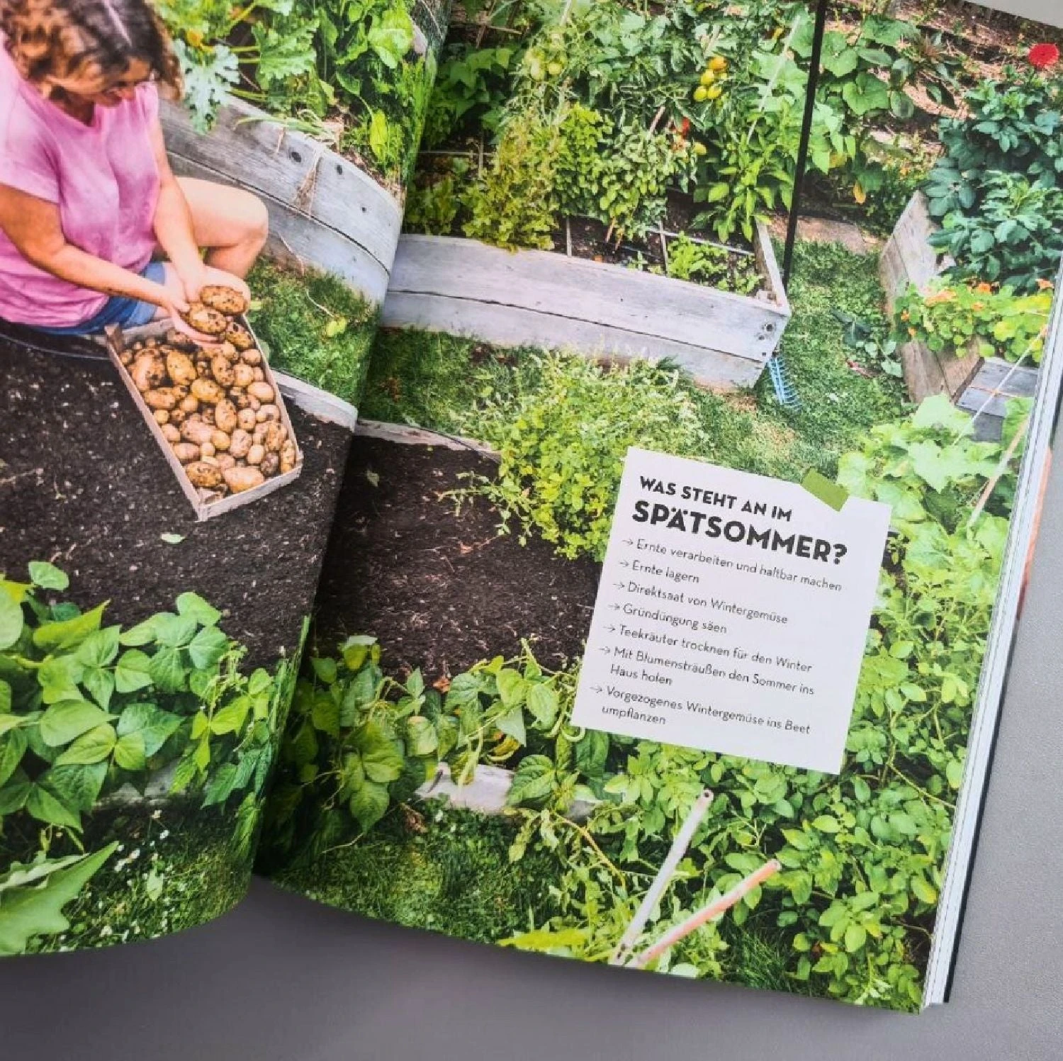 Hochbeet - Was Mache Ich Wann? (Anja Klein) 6 Hochbeet - Was Mache Ich Wann? (Anja Klein) – Bild 4