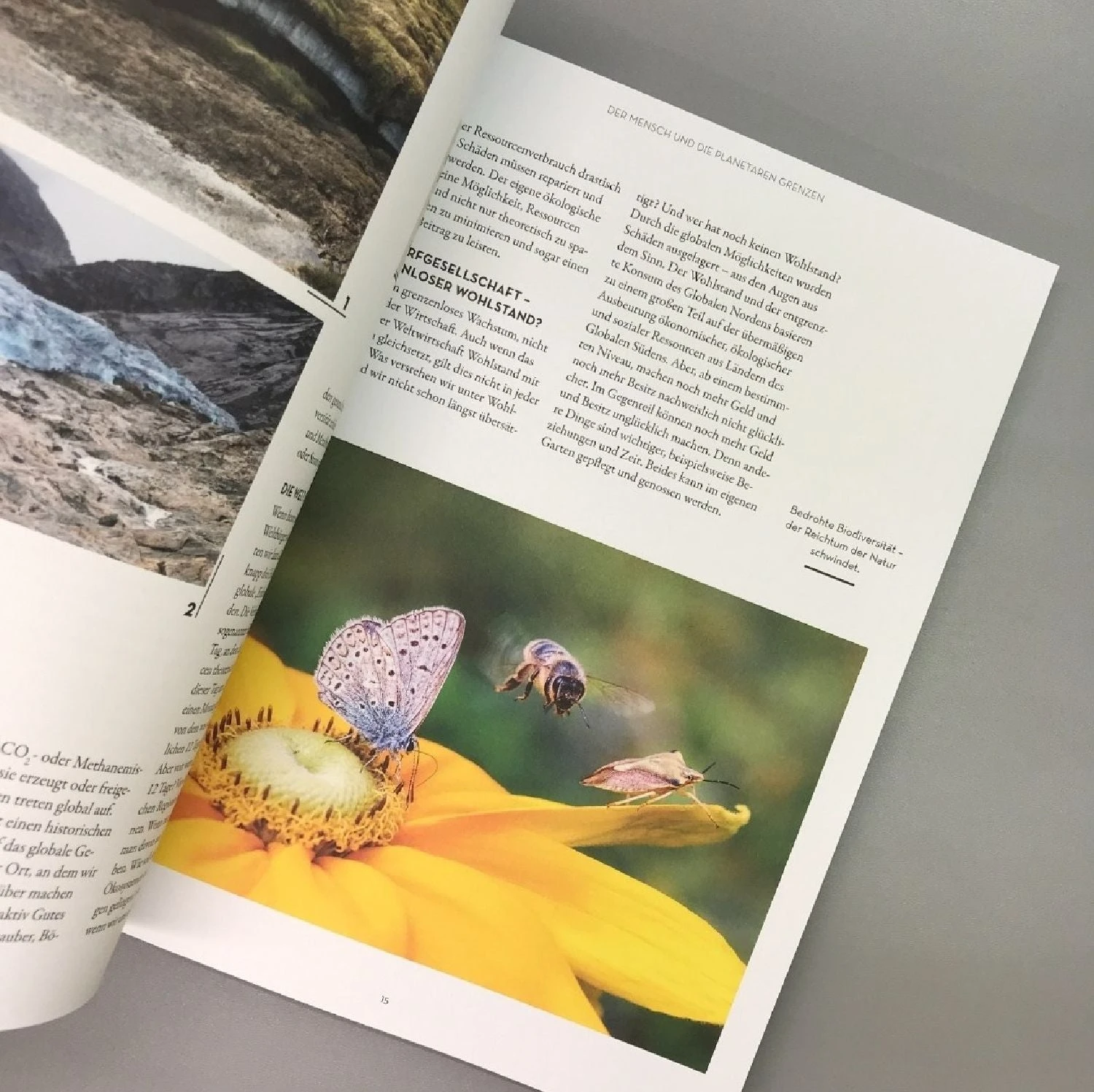 Wenn Nicht Jetzt, Wann Dann? (Manuela Gassner) 6 Wenn Nicht Jetzt, Wann Dann? (Manuela Gassner) – Bild 4