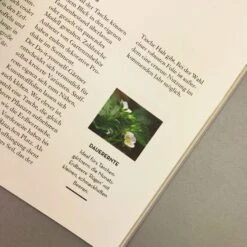 Vertikal Gärtnern (Martin Staffler) -Angebote Pflanzen Store 37120 Vertikal 20Gaertnern Martin 20Staffler 6