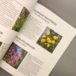 Der Antiautoritäre Garten (Simone Kern) -Angebote Pflanzen Store 37125 Der 20antiautoritaere 20Garten Simone 20Kern 4