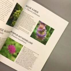 Der Antiautoritäre Garten (Simone Kern) -Angebote Pflanzen Store 37125 Der 20antiautoritaere 20Garten Simone 20Kern 5