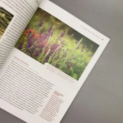 Echte Hitzeprofis (Katrin Lugerbauer) -Angebote Pflanzen Store 37807 Echte 20Hitzeprofis Katrin 20Lugerbauer 5