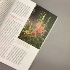 Echte Hitzeprofis (Katrin Lugerbauer) -Angebote Pflanzen Store 37807 Echte 20Hitzeprofis Katrin 20Lugerbauer 6