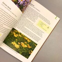 Gartenschätze (Falk-Ingo Klee) -Angebote Pflanzen Store 37860 Gartenschaetze Falk Ingo 20Klee 4 d37276d0 3ee5 472b bc70 f38a39726be6