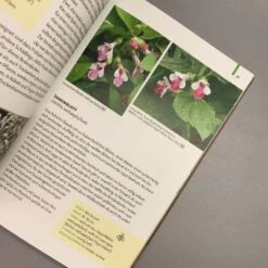 Gartenschätze (Falk-Ingo Klee) -Angebote Pflanzen Store 37860 Gartenschaetze Falk Ingo 20Klee 5 3569ac3e 0bf8 4290 be0e 984267987b47