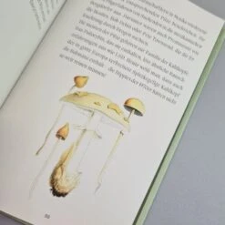 Pilze (Wissenswertes Und Kurioses) -Angebote Pflanzen Store 37895 Pilze Wissenswertes 20und 20Kurioses 6