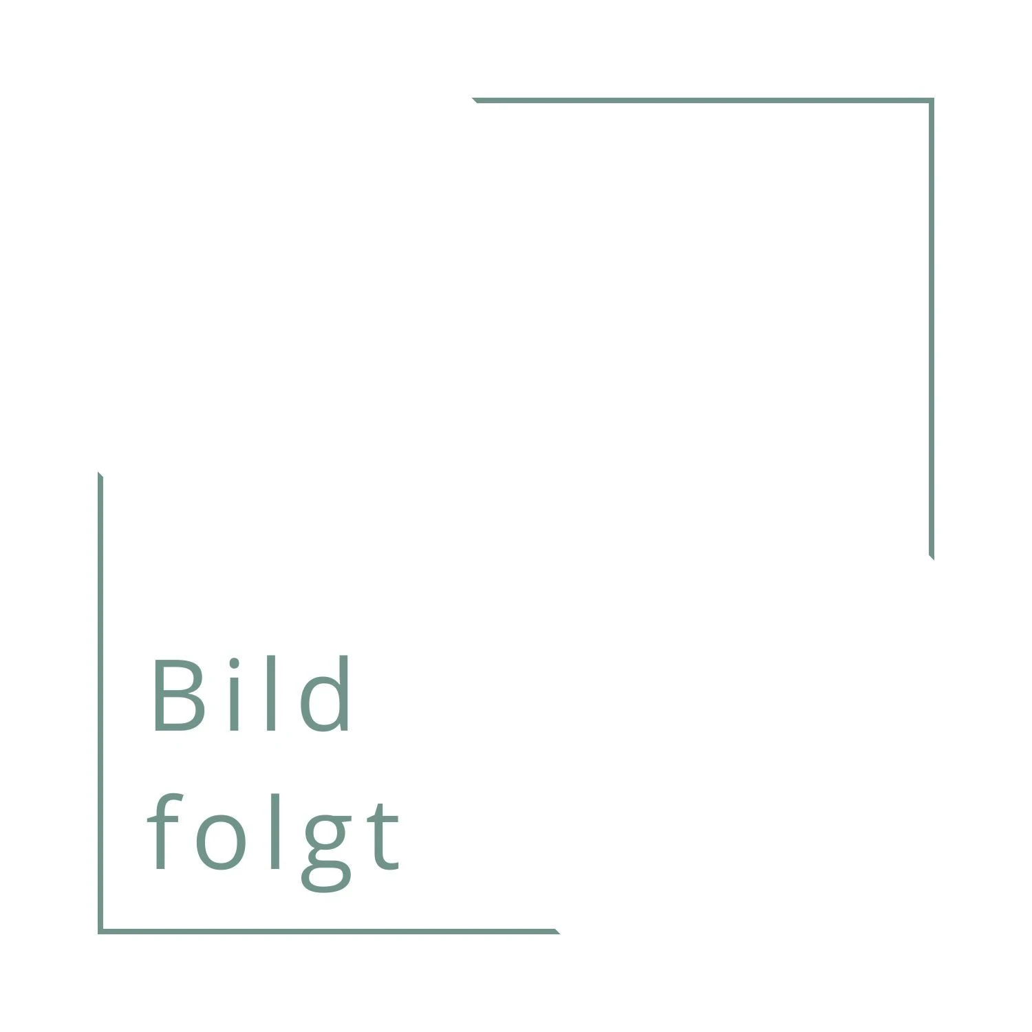 Blütenpracht Ohne Gießen (Bernd Hertle) 7 Blütenpracht Ohne Gießen (Bernd Hertle) – Bild 5