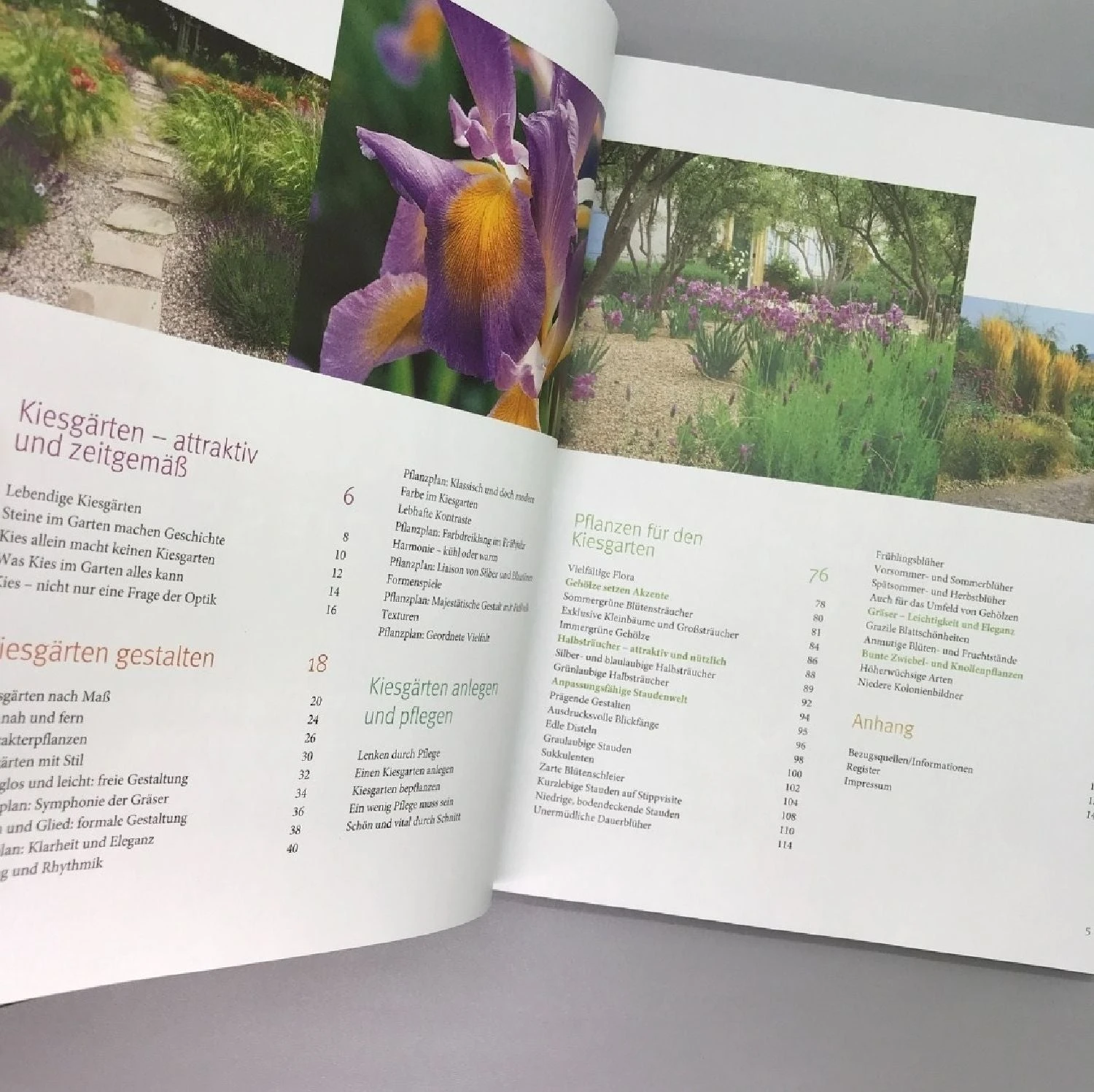 Blütenpracht Ohne Gießen (Bernd Hertle) 4 Blütenpracht Ohne Gießen (Bernd Hertle) – Bild 2