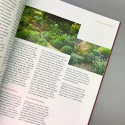 Blütenpracht Ohne Gießen (Bernd Hertle) 10 Blütenpracht Ohne Gießen (Bernd Hertle) -Angebote Pflanzen Store 37917 Bluetenpracht 20ohne 20giessen Bernd 20Hertle 5