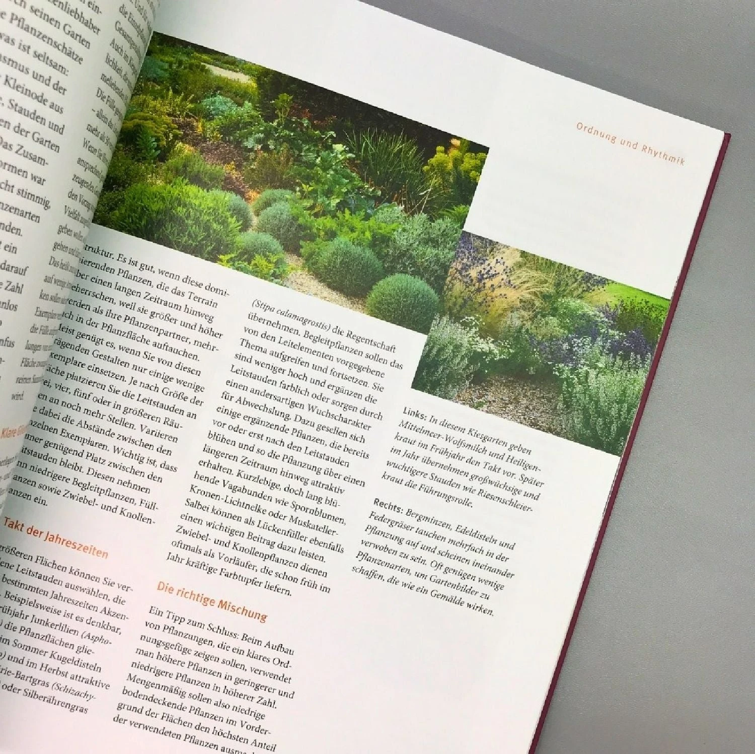 Blütenpracht Ohne Gießen (Bernd Hertle) 6 Blütenpracht Ohne Gießen (Bernd Hertle) – Bild 4