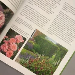 Das Große Handbuch - Stauden (Martin Stangl) 9 Das Große Handbuch - Stauden (Martin Stangl) -Angebote Pflanzen Store 37918 Das 20grosse 20Handbuch 20 20Stauden Martin 20Stangl 4