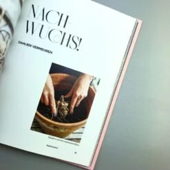 Dahlien Zauber (Sarah Stiller) -Angebote Pflanzen Store 38278 Dahlien 20Zauber Sarah 20Stiller 5