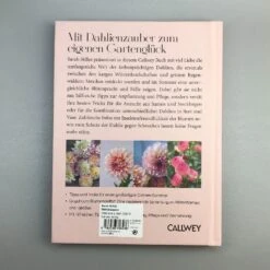 Dahlien Zauber (Sarah Stiller) -Angebote Pflanzen Store 38278 Dahlien 20Zauber Sarah 20Stiller 6