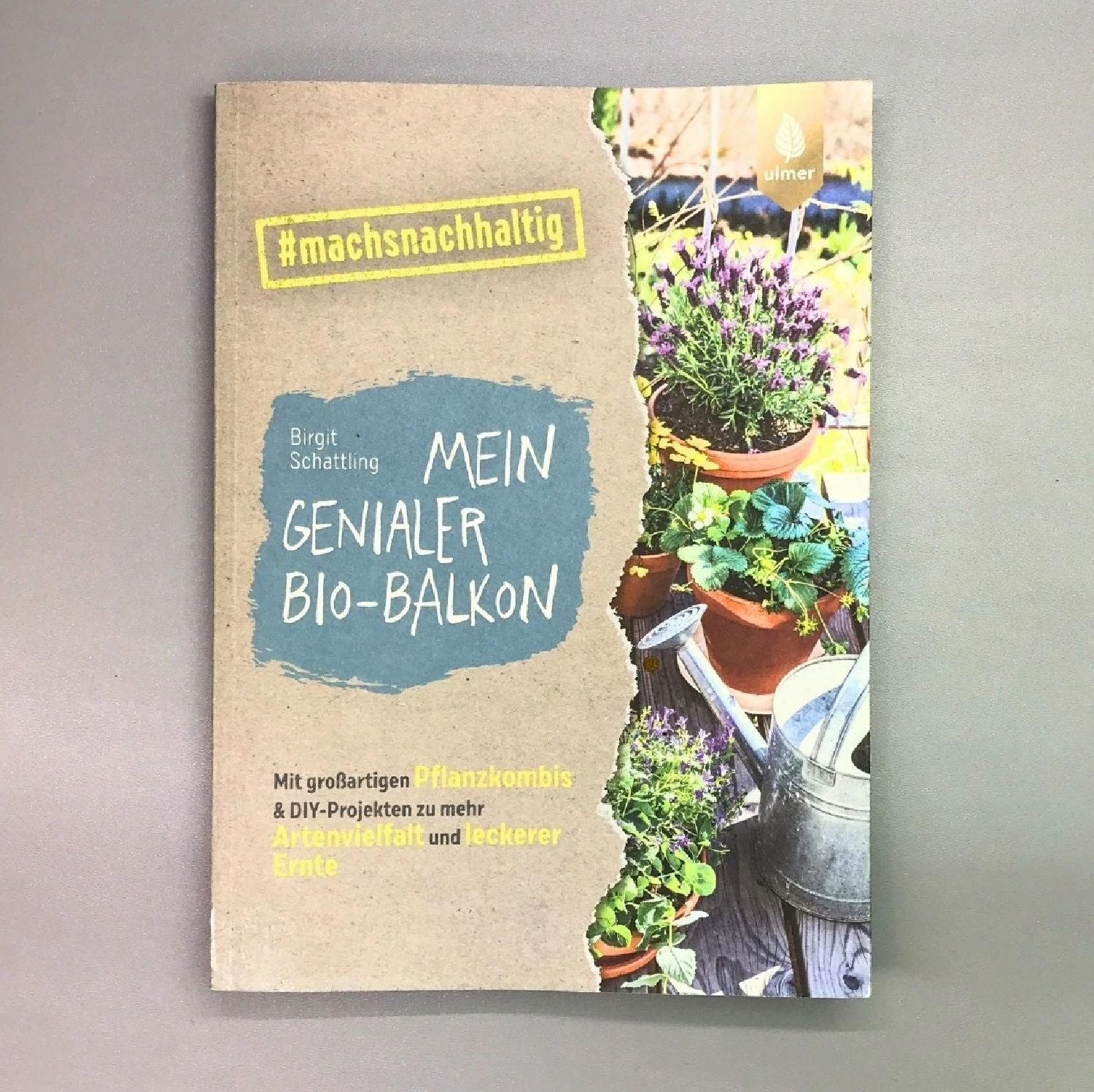 Mein Genialer Bio-Balkon (Birgit Schattling) 4 Mein Genialer Bio-Balkon (Birgit Schattling) – Bild 2