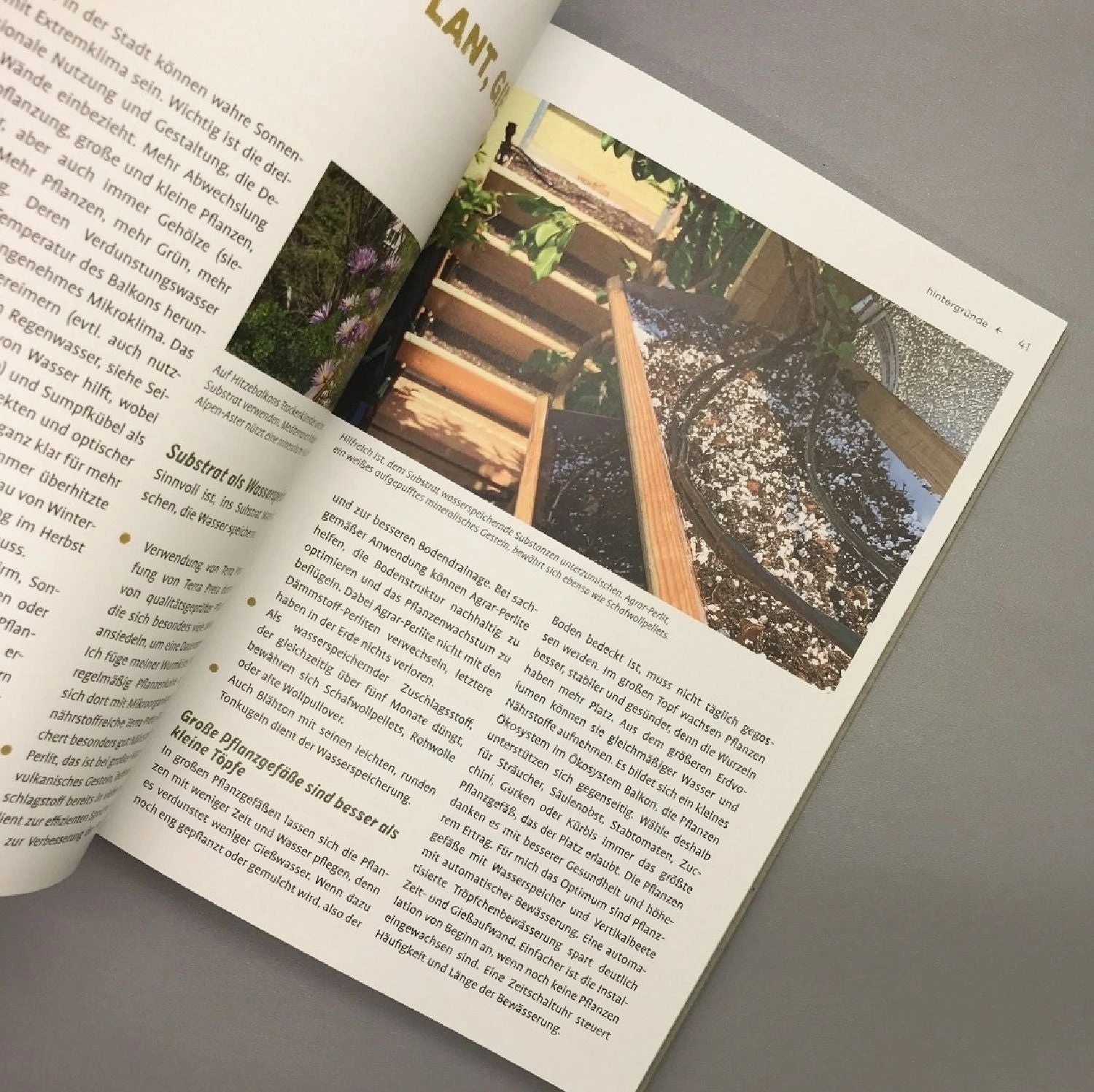 Mein Genialer Bio-Balkon (Birgit Schattling) 7 Mein Genialer Bio-Balkon (Birgit Schattling) – Bild 5