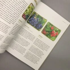 Mein Genialer Bio-Balkon (Birgit Schattling) 13 Mein Genialer Bio-Balkon (Birgit Schattling) -Angebote Pflanzen Store 38452 Mein 20Genialer 20Bio Balkon Birgit 20Schattling 6 a3f9eab7 46a5 44f6 bc93 5bb3a22f5311