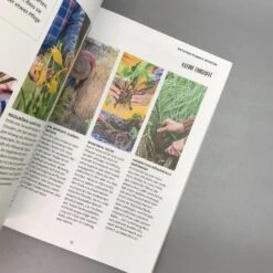 In Den Garten Fertig Los (Jean-Michel Groult) 11 In Den Garten Fertig Los (Jean-Michel Groult) -Angebote Pflanzen Store 38587 In 20den 20Garten 20fertig 20los Jean Michel 20Groult 5 1182d5ff 0c38 4ef0 92e8 54c7743f5fb9