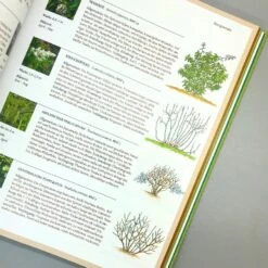 Pflanzenschnitt (DAS GROSSE GU PRAXISHANDBUCH) -Angebote Pflanzen Store 38619 Pflanzenschnitt DAS 20GROSSE 20GU 20PRAXISHANDBUCH 5