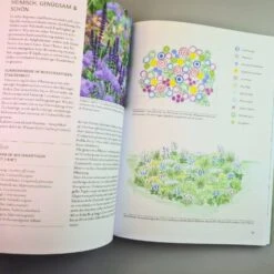 Überlebenskünstler (Simone Kern) -Angebote Pflanzen Store 38665 UEberlebenskuenstler Simone 20Kern 4 964d27af 3dd4 4934 8637 057e75bf59d7