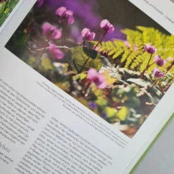 Blütenreich (Katrin Lugerbauer) -Angebote Pflanzen Store Bluetenreich 4