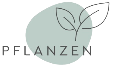 Angebote Pflanzen Store